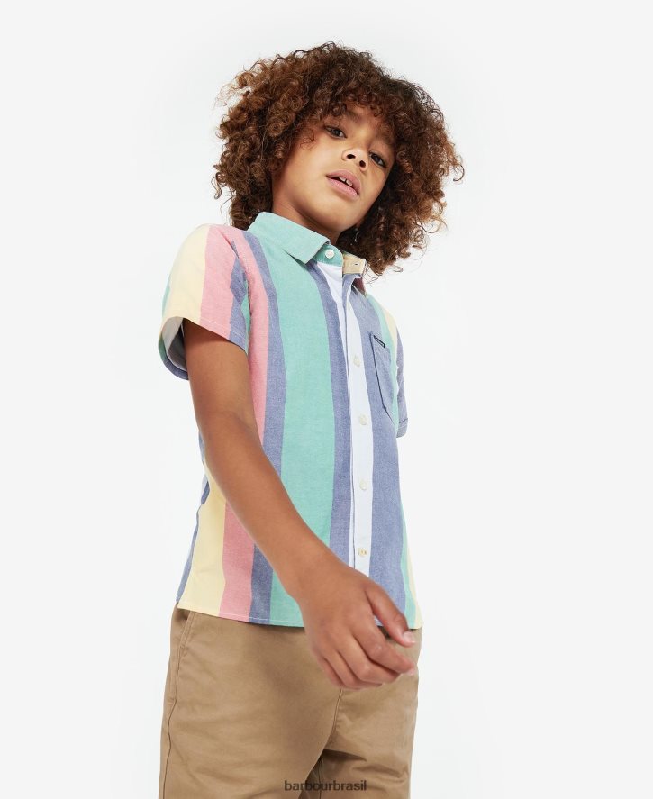 roupas Barbour camisa dale cambraia Rapazes NH44422541