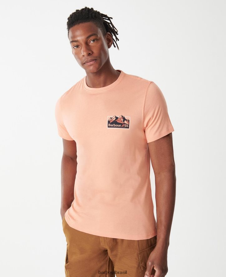 roupas Barbour camiseta de vidro sussurro branco homens NH4442783